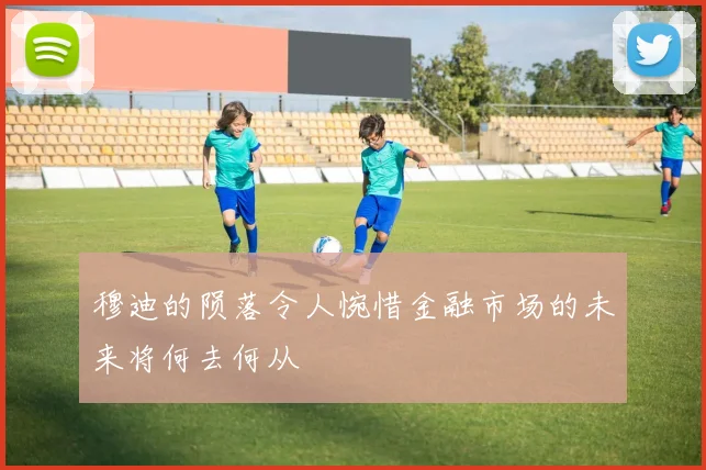 穆迪的陨落令人惋惜金融市场的未来将何去何从