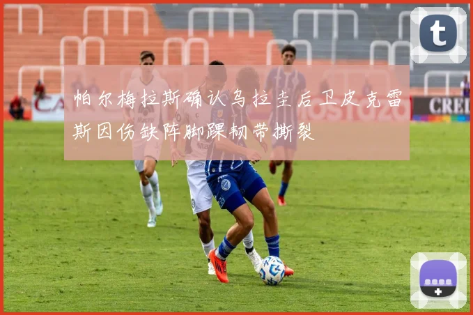 帕尔梅拉斯确认乌拉圭后卫皮克雷斯因伤缺阵脚踝韧带撕裂